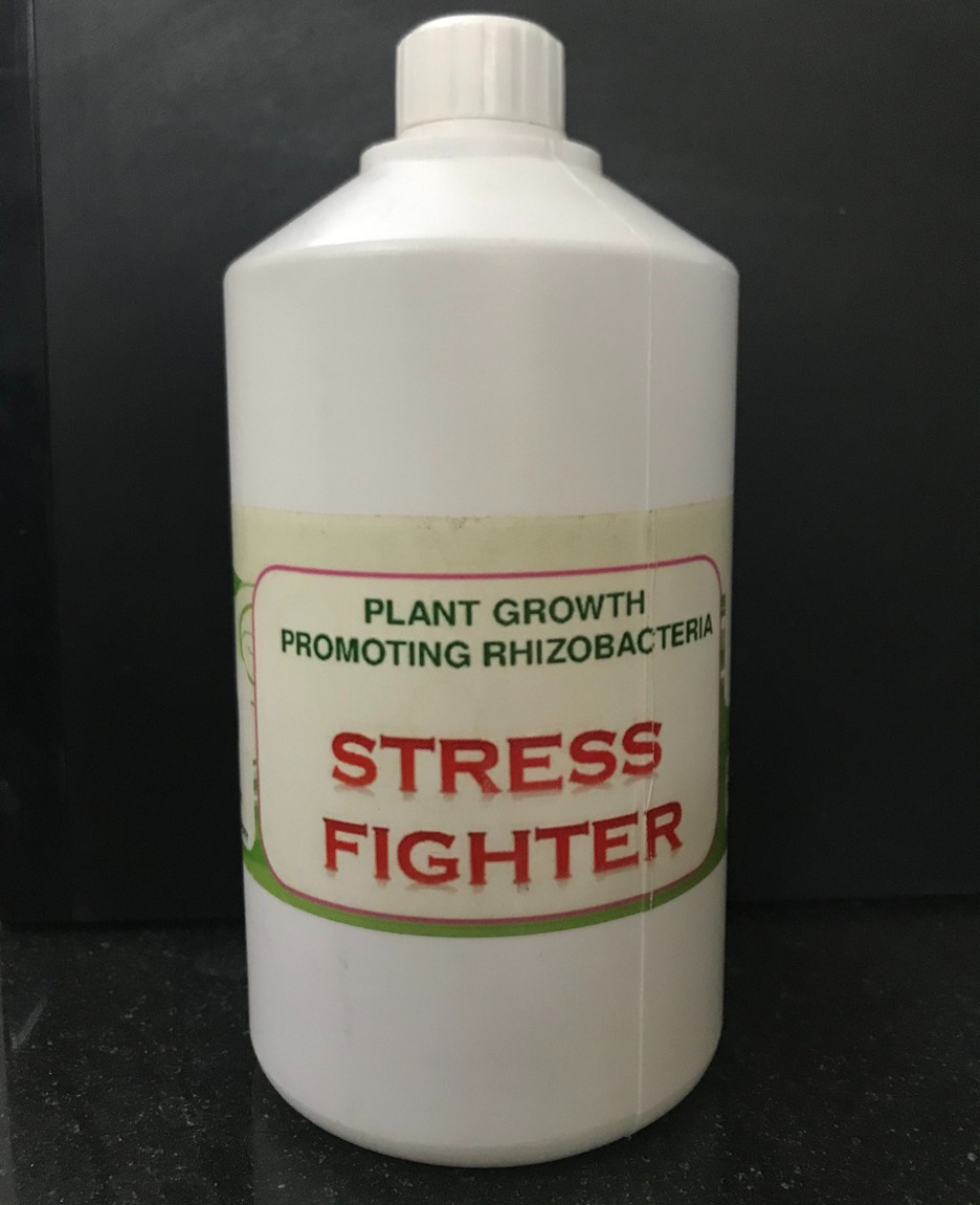 Stress Fighter