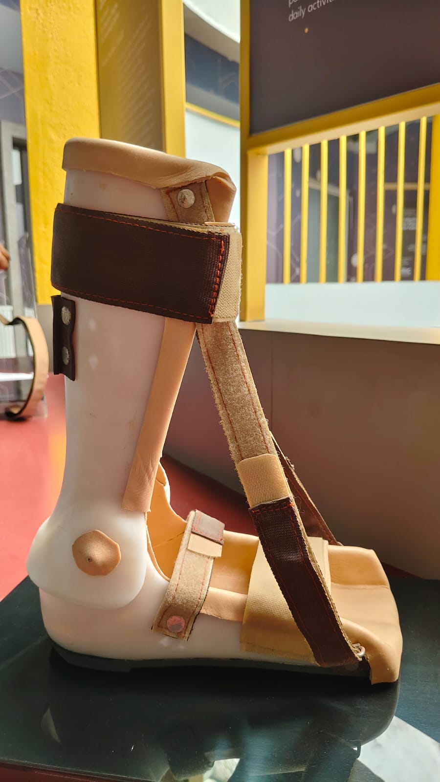 Sole support ankle aligner